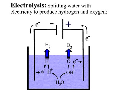 FUEL CELL